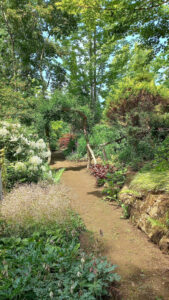 Floraison de dicentra formosa , des saxifrages et du rhododendron blanc menant vers l'arceau de rocaille aux rosiers grimpants - jardin grelinette et pinceaux