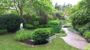 Chouette de rocaille dans la chambre au bassin carré - jardin grelinette et pinceaux