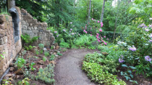 Cheminement entre la ruine en fausses pierres , et les rhododendrons .